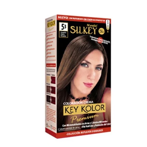 [SK700.5.1] CASTAÑO CLARO CENIZA SILKEY COLOR PREMIUM KIT SK700.5.1