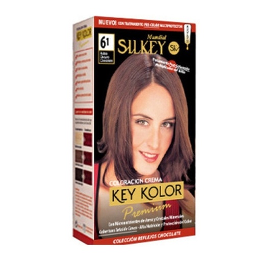 [SK700.6.1] RUBIO OSCURO CENIZA SILKEY COLOR PREMIUM KIT SK700.6.1
