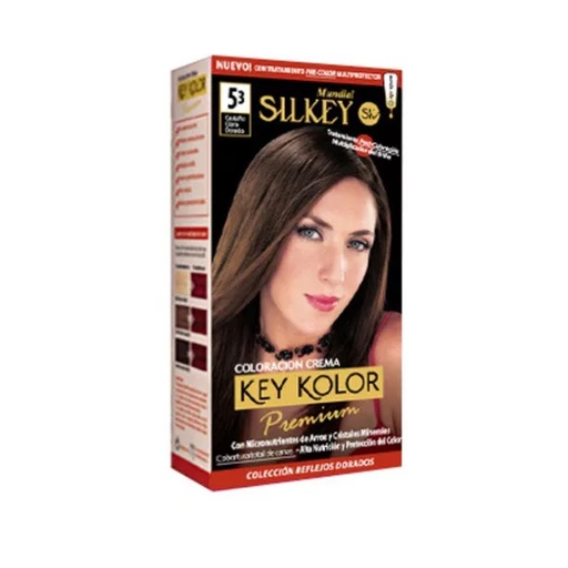 [SK700.5.3] CASTAÑO CLARO DORADO SILKEY COLOR PREMIUM KIT SK700.5.3