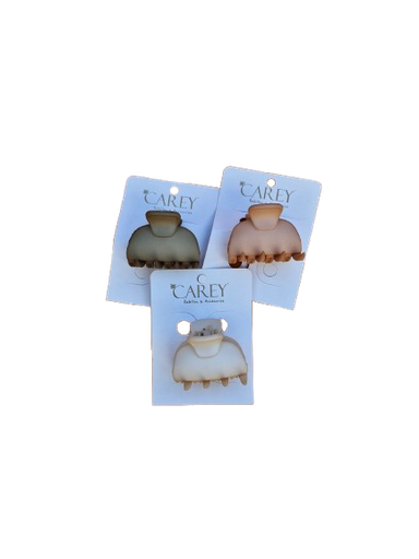 [SI9097] BROCHE CAREY                               SI9097